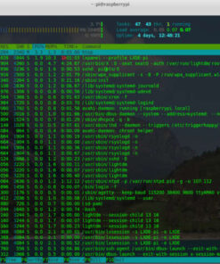 book-raspberry_pi_htop